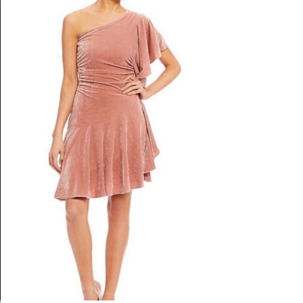 GIANNI BINI Blush Velvet One Shoulder Dress L